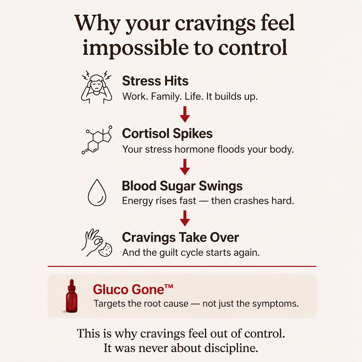 A powerful blend of Berberine, Ceylon Cinnamon & Turmeric designed to support healthy blood sugar, steady energy and calmer cravings — naturally.